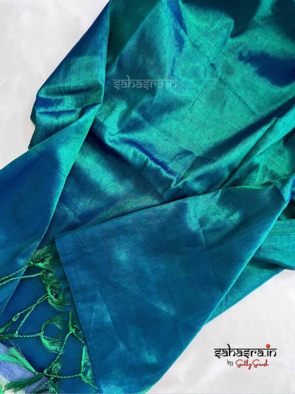 Raga Metallic Handloom Tissue Saree -ST1 - Image 4