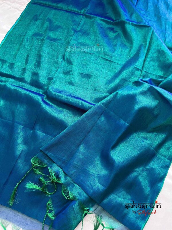 Raga Metallic Handloom Tissue Saree -ST1 - Image 2