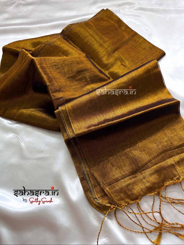 Raga Metallic Handloom Tissue Saree -ST42 - Image 2