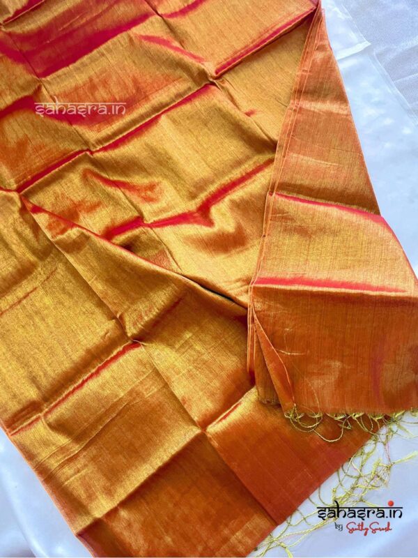 Raga Metallic Handloom Tissue Saree -ST31