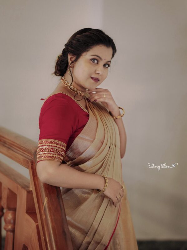Raga Metallic Handloom Tissue Saree -ST4