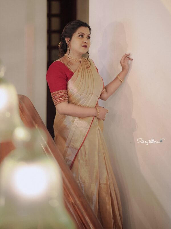 Raga Metallic Handloom Tissue Saree -ST4 - Image 3