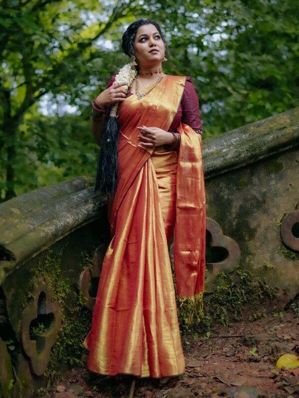 Raga Metallic Handloom Tissue Saree -ST2 - Image 2