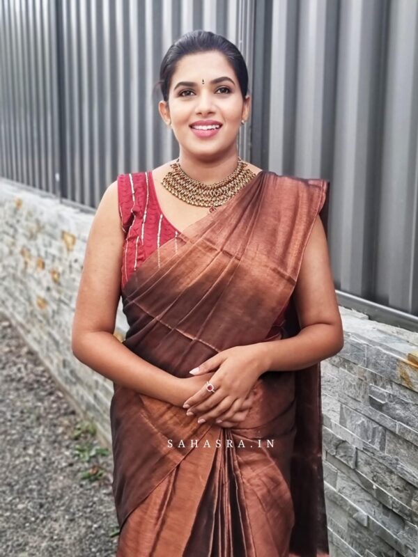 Raga Metallic Handloom Tissue Saree -ST8 - Image 2