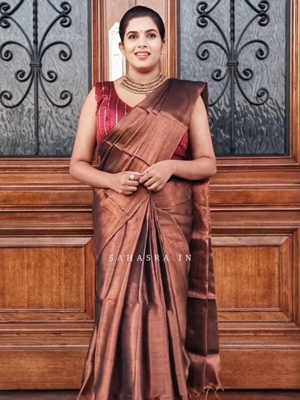 Raga Metallic Handloom Tissue Saree -ST8