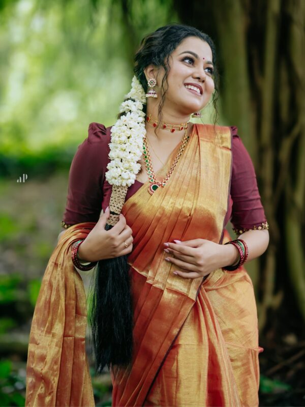 Raga Metallic Handloom Tissue Saree -ST2